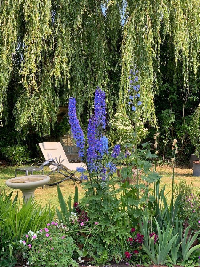 Corner House Luxury Bnb Little Dunmow Kültér fotó